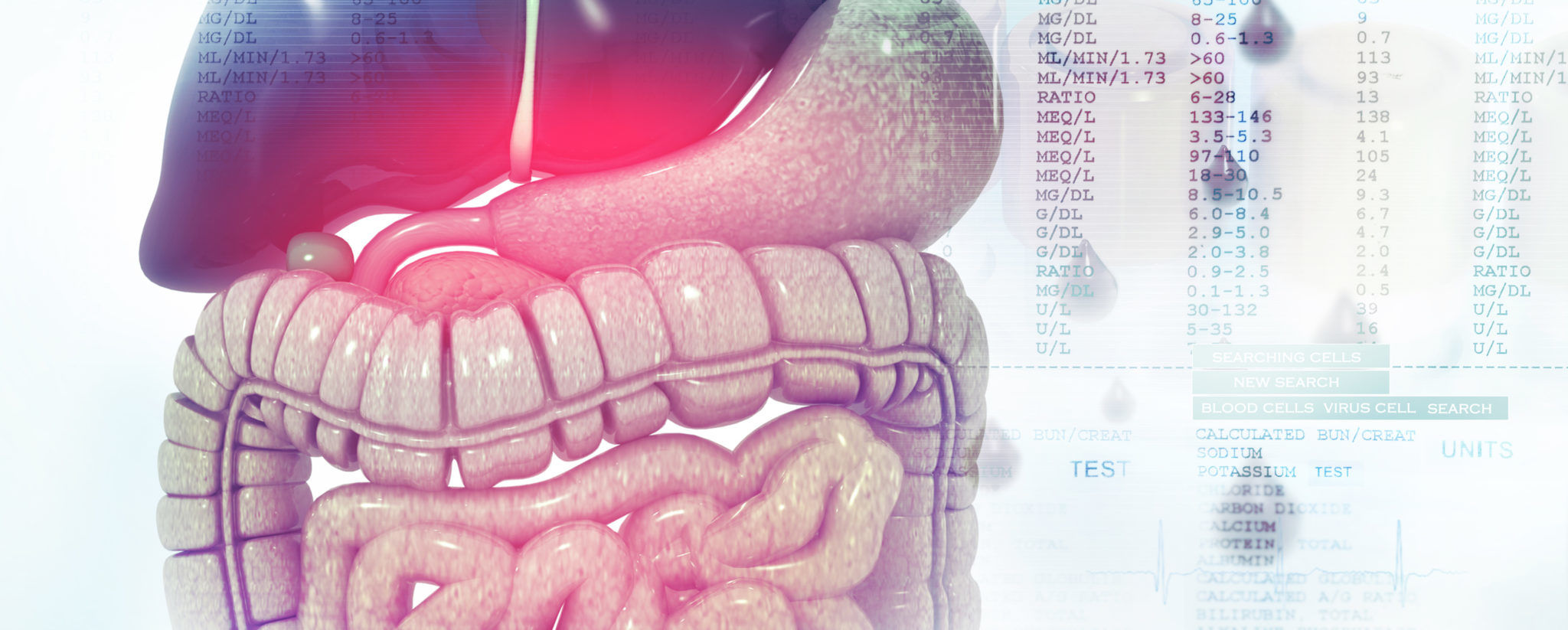 Colon-Hydro-Therapie