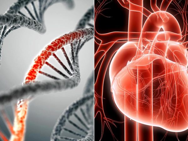 EKG zur Früherkennung einer koronaren Herzerkrankung