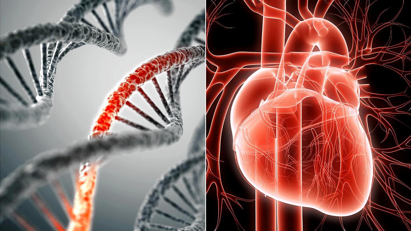 EKG zur Früherkennung einer koronaren Herzerkrankung