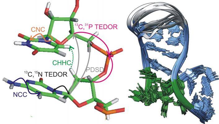 Protein C-Bestimmung zur Einschätzung des Thrombose-Risikos